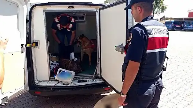 Narkotik köpeği Zırh'ın desteğiyle yakalandı! Nevşehir'de dikkat çeken operasyon