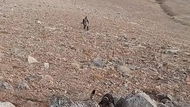 Nesli tükenmekte olan o canlı bakın nerede görüldü!