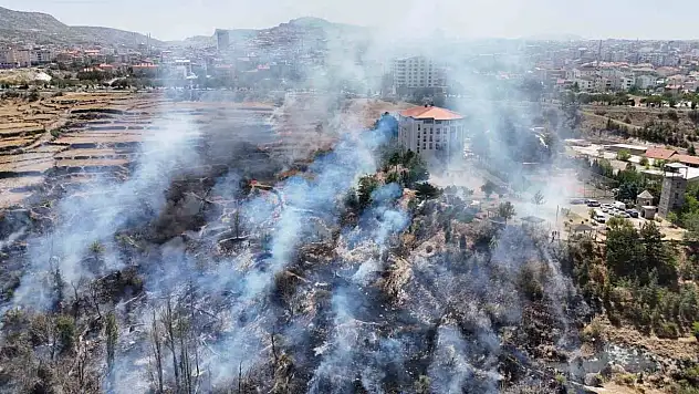 Ağaçlık alanda yangın
