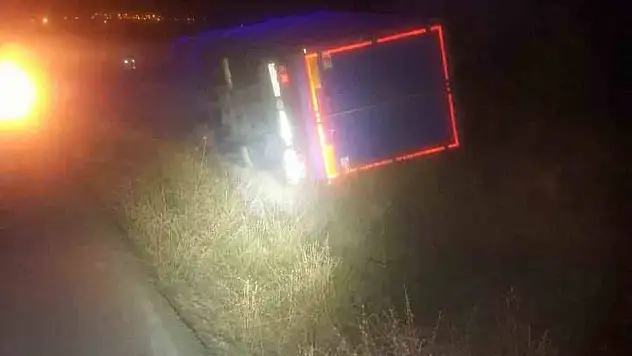 Kargo kamyonu şarampole devrildi