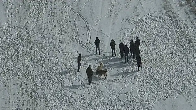 Köpek dövüştürürken jandarma bastı! 10 kişi yakalandı