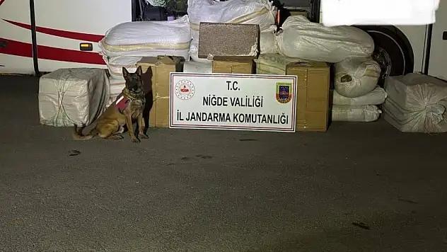 Niğde'de 870 kilo kaçak tütün ele geçirildi