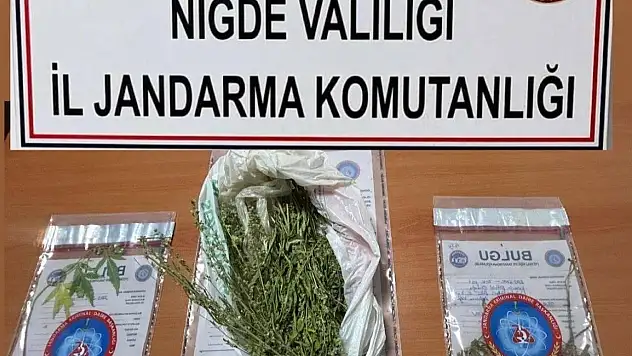 Emniyet ve jandarma ekiplerinden çok yönlü denetim