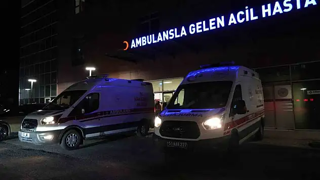 Niğde'de otomobil elektrik direğine saplandı