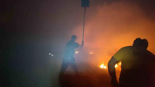 Koyunlu ve Fesleğen'de yangın çıktı