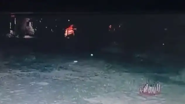 O ilçede kene ve yılanın ardından şimdi de kurt paniği