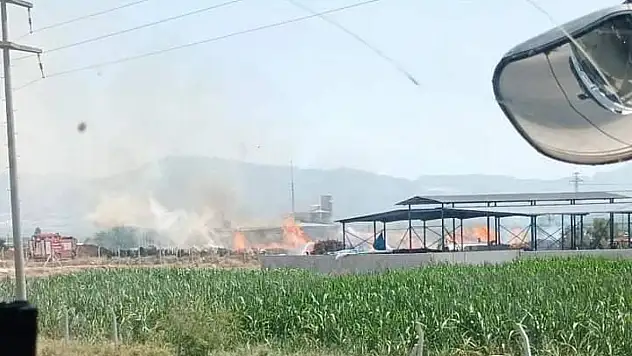 Oduncuda yangın çıktı