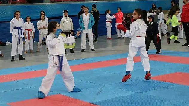 Okullar arası Karate İl Birinciliği müsabakaları tamamlandı