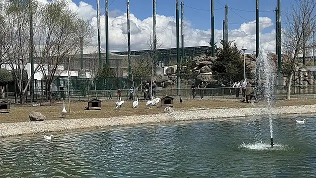 Oraya gidecekler dikkat! Bugün kapalı