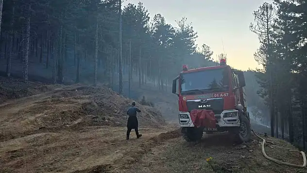 Adana'daki orman yangını kontrol altına alındı