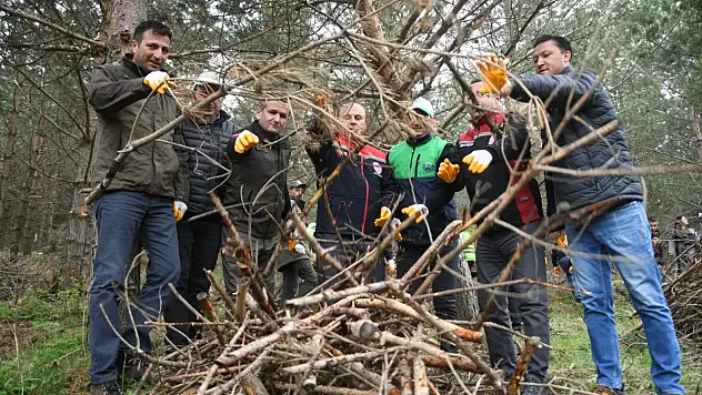 Ormanda felaket önleyen çalışma