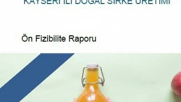 Orta Anadolu Bölgesi'nin Yatırım Fırsatlarını İçeren 14 Ön Fizibilite Raporu Yayında