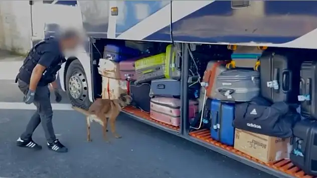 Otobüs durduruldu, valizden bakın ne çıktı!