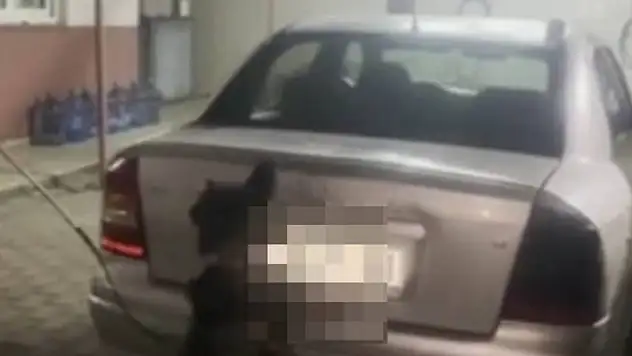 Otomobilin gaz tankından bakın ne çıktı