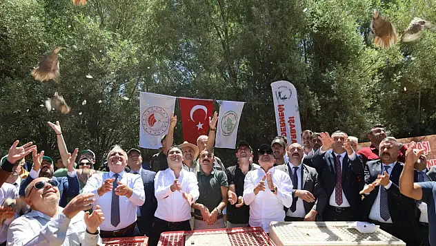 Kayserili vekil doğaya bakın ne bıraktı!