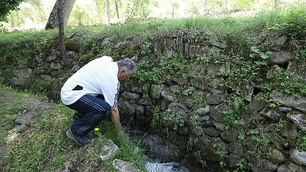  'Dünü bilmek, geleceği bilmektir