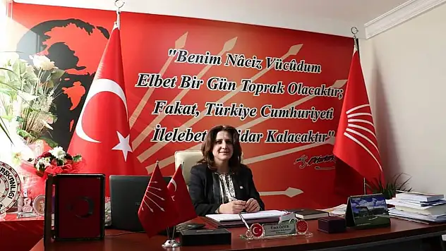Özer: Millet iradesine darbe yaptılar
