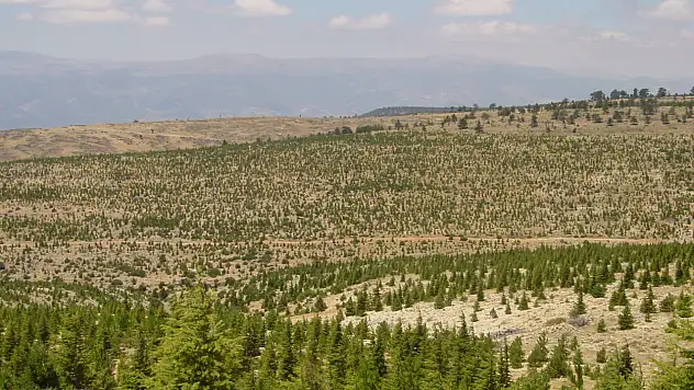 Özhaseki açıkladı: Tam 534 proje hazırlandı