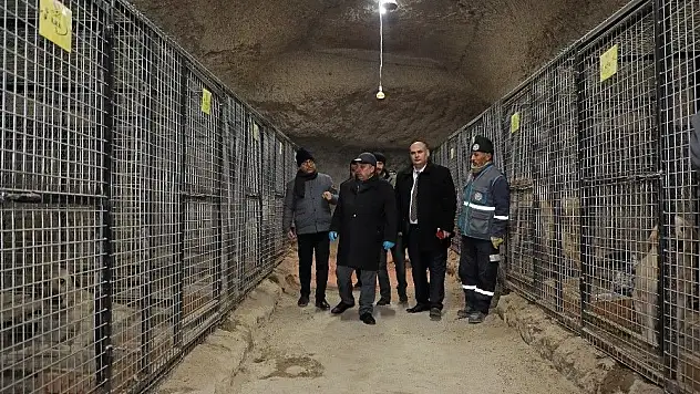 Pati Köy Kışın Da Güzel