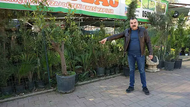 Dinlene dinlene hırsızlık