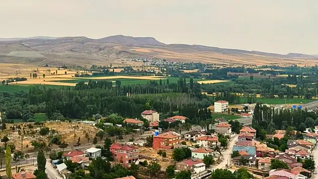 Pınarbaşı'da yetişen 6 otla ilgili iddia! İncelemeye alındı