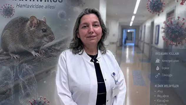 Prof. Dr. Yasemin Ersoy'dan hantavirüs uyarısı!