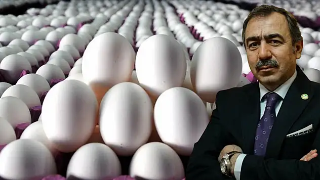 Ramazan'da yumurta zammı neden olmadı? Başkan İbrahim Afyon açıkladı