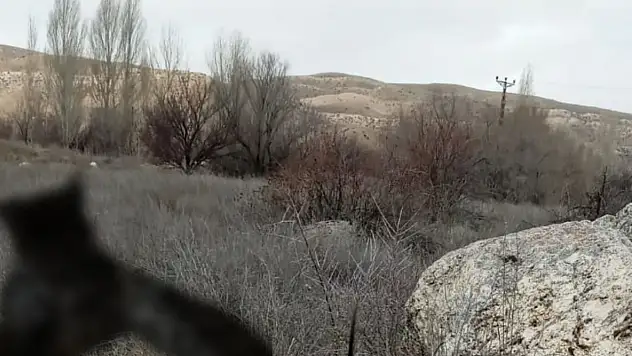 Sarıoğlan'da hayalet ölü bulundu!