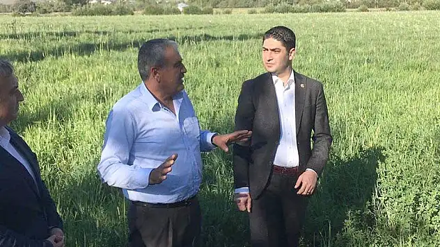 Sarız'da buğday harekâtı!