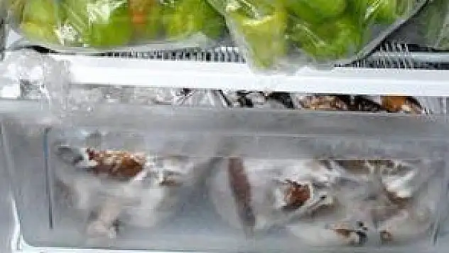 SEBZE VE MEYVEYE DONDURUCU ÇÖZÜM