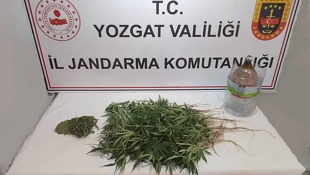 40 kök kenevir ele geçirildi