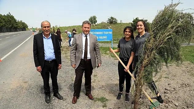 Şehit Komandolar Caddesi'nde ağaçlandırma
