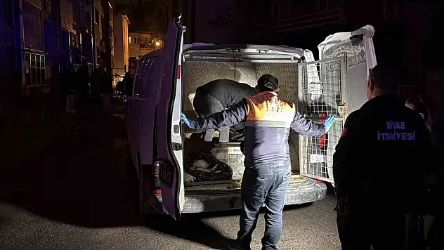 Yürekleri dağlayan yangın: 26 kedi telef oldu