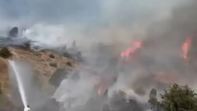 Sivas'ta ağaçlık alanda yangın çıktı