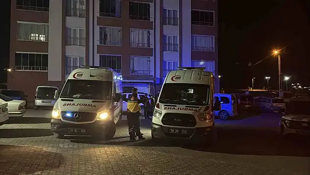 İki kardeş evde ölü bulundu