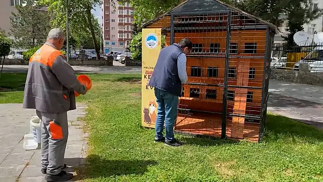 Sokak hayvanları unutulmadı