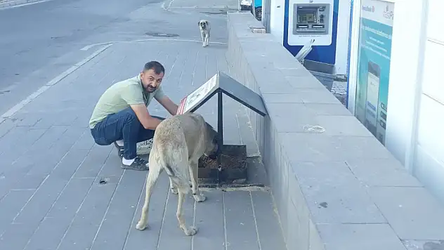 Sokak hayvanlarına yem bırakıldı