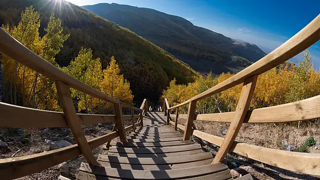 Sonbaharın renk cümbüşü Ortaseki Ormanları'nda!