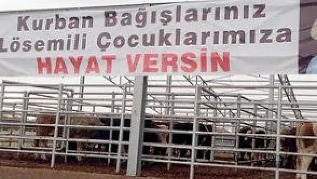 STK'LARIN DERİ SAVAŞI