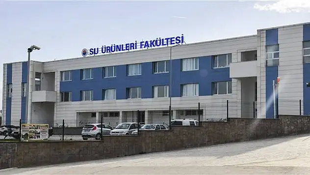 Su Ürünleri Mühendisleri işsizliğe isyan etti: Bizim hakkımız yok mu?
