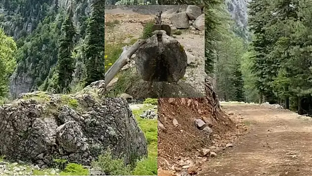 Su ve kuş sesleriyle sessiz, sakin doğasıyla her mevsim güzel! Büyüleyici video
