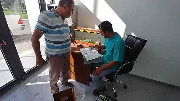 Sultan Sazlığı'nda yaralı bulunan kuşlar tedavi altına alındı

