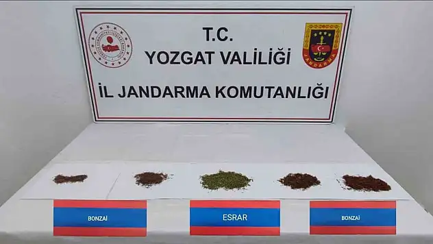 Şüpheli araçta bonzai ve esrar yakalandı