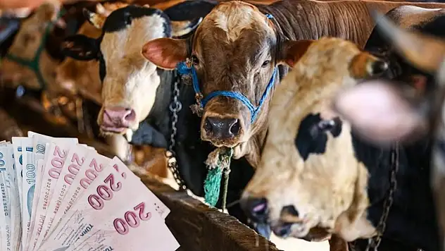 Taksitle kurban kesilir mi? İl Müftülüğünden açıklama geldi