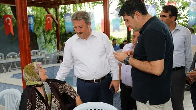 Talas'ın çınarları Akçakaya Mahallesinde
