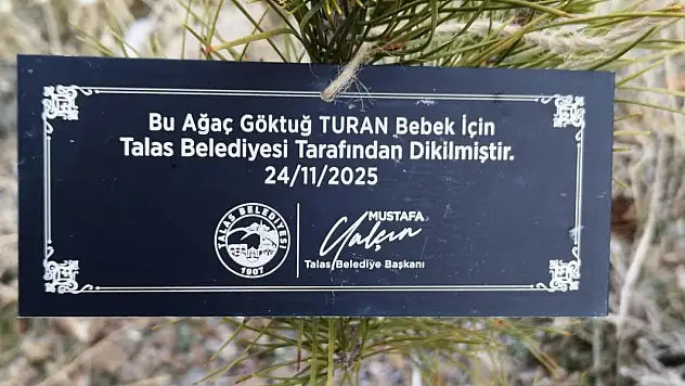 Talas'ta her bebek için bir fidan dikiliyor!