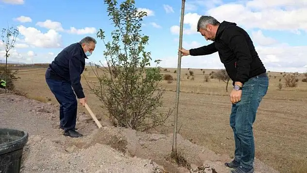 Talas'ta mahalle girişlerinde ağaç seferberliği!