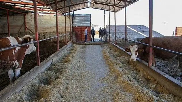 Talas'ta bölgesel kalkınmaya Profesörlü eğitim