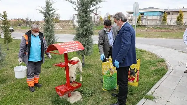 Tam kapanmada Melikgazi'de sokak hayvanları unutulmadı