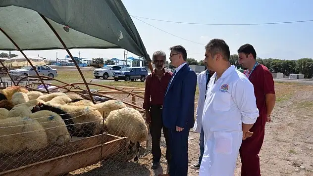 Tarım İl Müdürlüğü'nden Kurban Alacak Olanlara Büyük Hizmet
